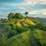 Similique quis a libero enim quod corporis rerum