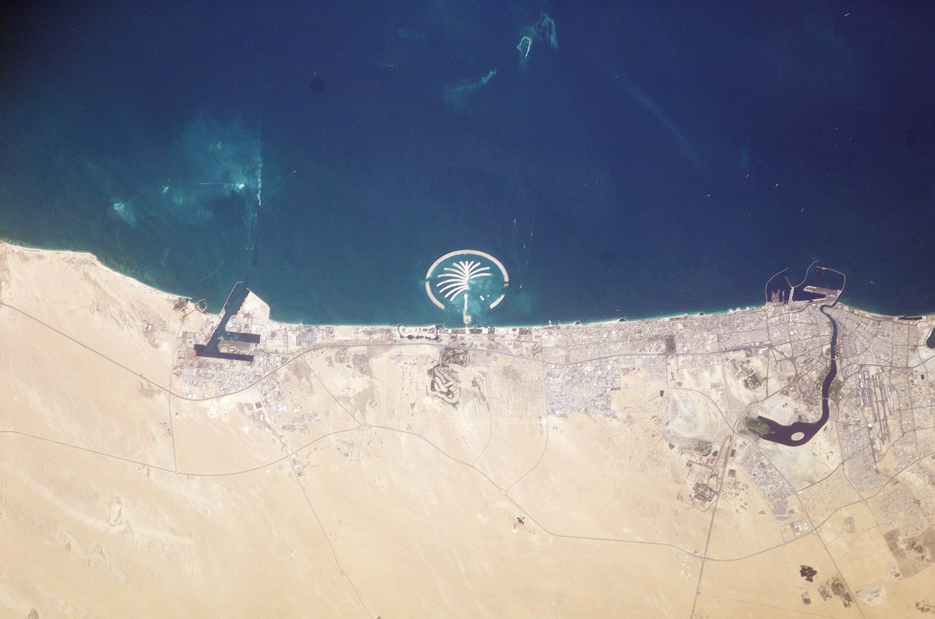 Sometimes, what looks like a palm tree from orbit is, well, a palm tree. Palm Island Resort, just 1 mile off the coast from Dubai, is scheduled to be complete by 2006. Advertised a