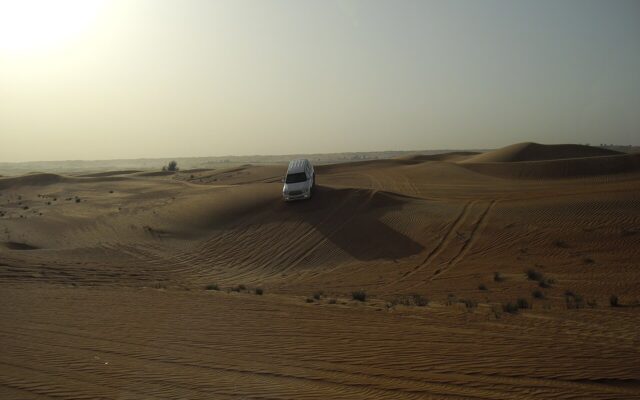 Photo illustrating: Al Qudra Cycling Track Guide: Distances, Bike Hire and Sunrise Rides