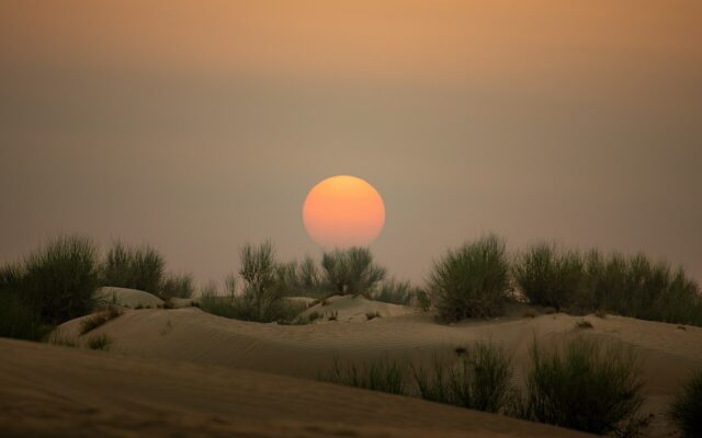 Photo illustrating: Day Trip to Sharjah From Dubai: Museums, Souks and Traffic Timing