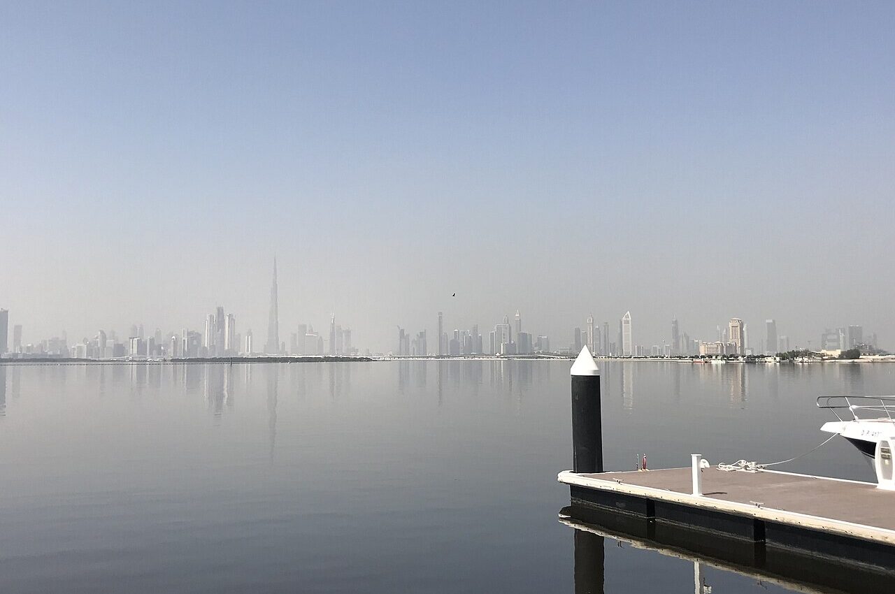 Photo illustrating: How to Find a Lost Pet in Dubai: Microchip Records, Municipality Steps and Neighbourhood Alerts