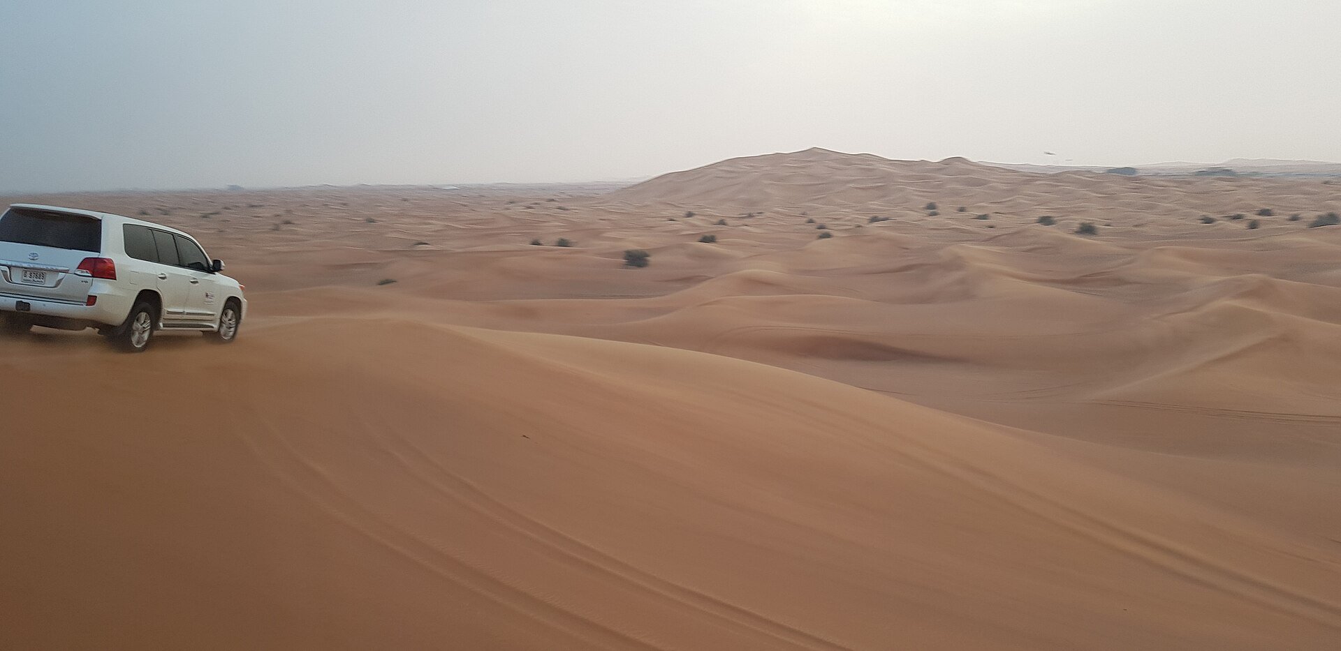 Dubai Desert Safari Liwa