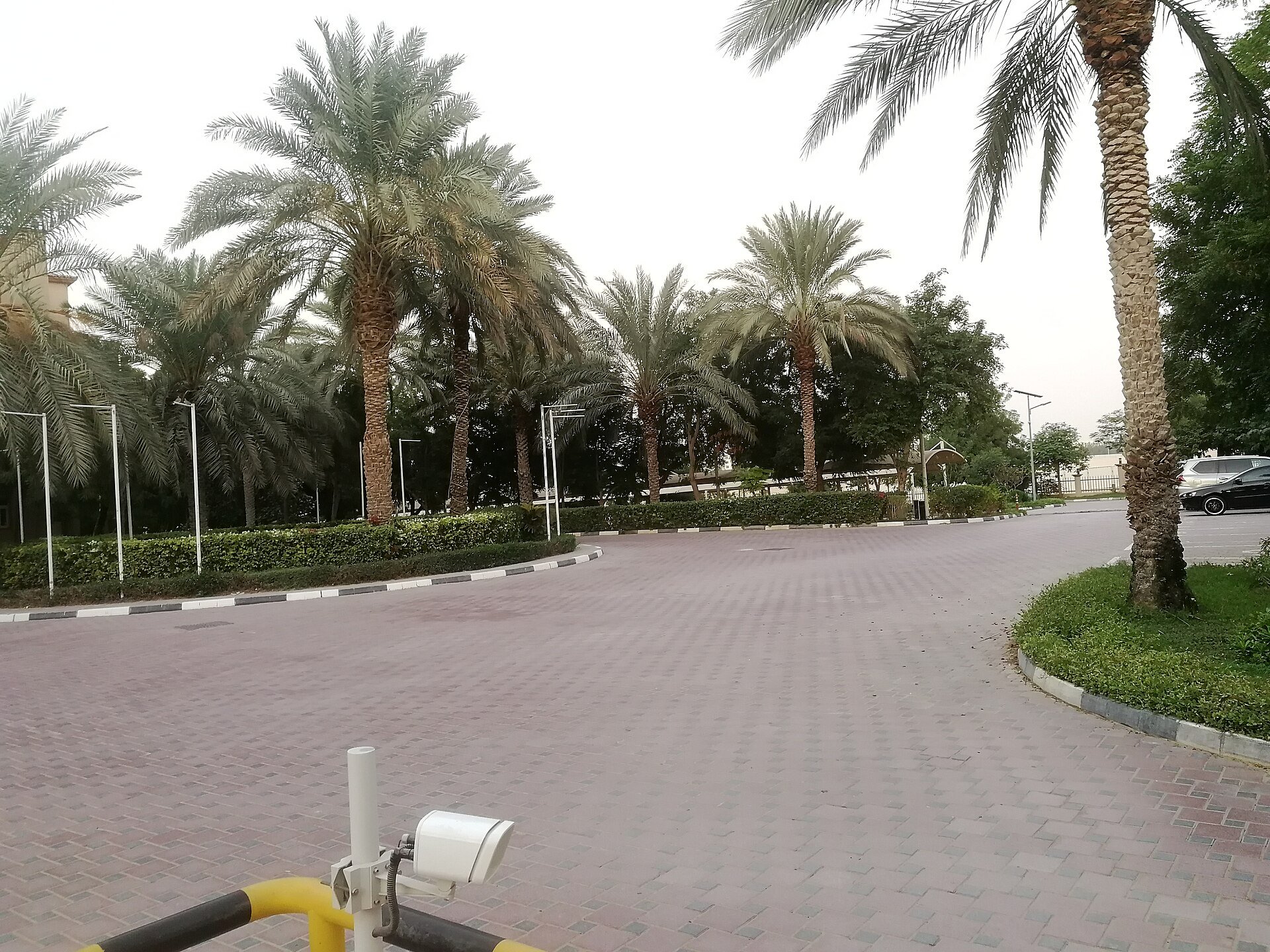 Photograph illustrating: How to Research Property Ownership Rules in Dubai